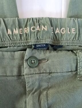 American Eagle Outfitters Wide Leg Pants in Sage Green